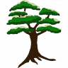 Juniper Tree