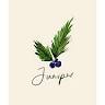 Juniper