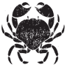Just Shellfish