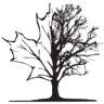 JWD Tree Service inc.