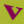 Versshop 't Kaasvat