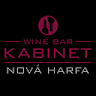 Winebar Kabinet Harfa