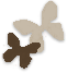 Kadeřnictví Butterfly
