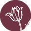 Kado - The Gift & Home Store