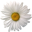 Kafkaseli