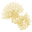 Kahulale'a