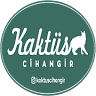 Kaktüs Cihangir