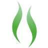 Kalp Naturo Healthcare