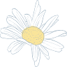 Kamilleshop.dk