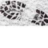 Kamloops Carpet Care