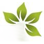 Floristería Kampary 2
