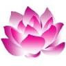 K&P Holistic Health & Healing Arts