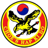 Choe's HapKiDo Martial Arts, Karate, Kickboxing Duluth GA