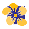 Karel Zuidgeest Bloemen B.V.