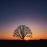 Yoga to nurture: Trauma-sensitive Yoga with Karen