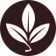 Karma Coffee roastery