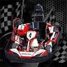 Karting Roses