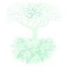 LightOn Therapeutic Yoga and Holistic Therapy