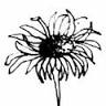 Kat's Cut Flowers