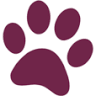 Kattenhotel Catz te Deurne