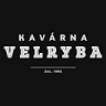Kavárna Velryba