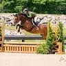 KB Sporthorses LLC