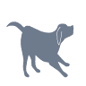Kelley Animal Hospital