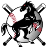 Kellyville Baseball Club
