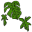Kenibreed Plants