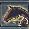 Kern Road Veterinary Clinic