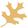 Kern Family Foundation