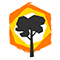 Khaya Volunteer Projects