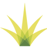 Kiana Produce