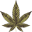 KIEF.PL - cbd store