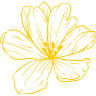 Absolutely Flowers & Balloons