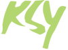 KSY LA Kim Sun Young Hair & Beauty Salon