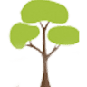 Kinder Arena Tuition & Daycare
