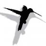 Kindergruppe Kolibri