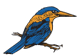 Kingfisheries (Aquarium) Ltd