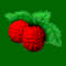 Kinglake Raspberries