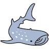 Kings Ningaloo Reef Tours