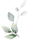 Kinship Hair Co.