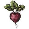 Kinship Community Food Center - St. Casimir Site
