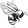 Kirkman CPA Group