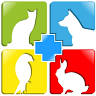 Kiss Veterinary Surgery