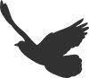 Kitsap Cremation & Burial