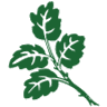 Kjarnaskógur