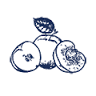 Klein's Kill Fruit Farms Corporation