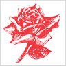 Knight's Roses