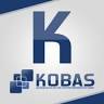 KOBAS GmbH Bilanzbuchhalter und Unternehmensberater